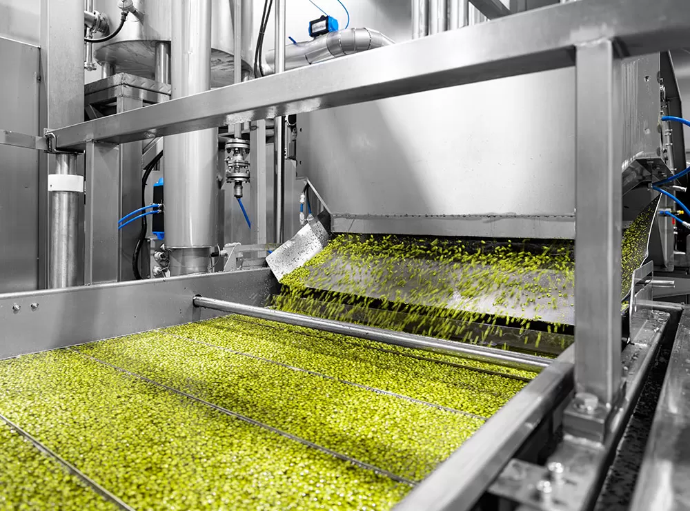 Versatile Bean Snacks for Wholesale and Private Label Programs