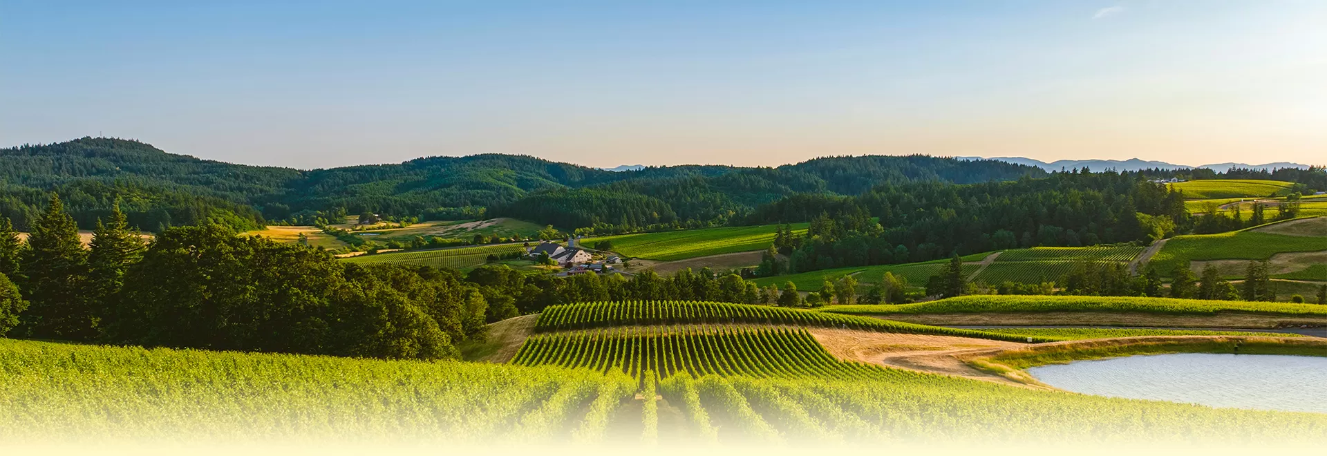 Ganyuan Snacks Videos