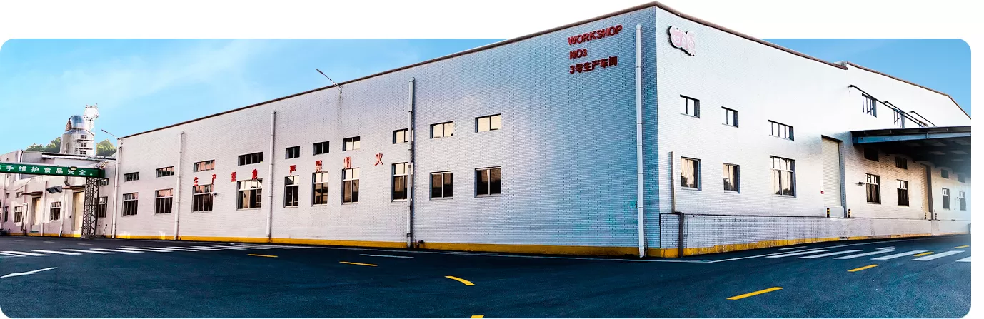 Gain Yum - Crafting Quality in Every Bite