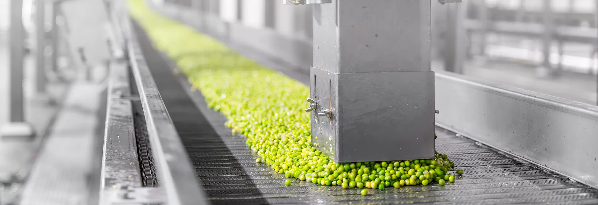 Gain Yum Technical Assistance and Support Services