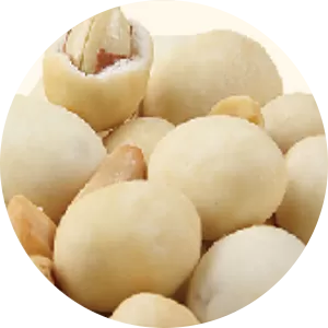 Peanut Kernels