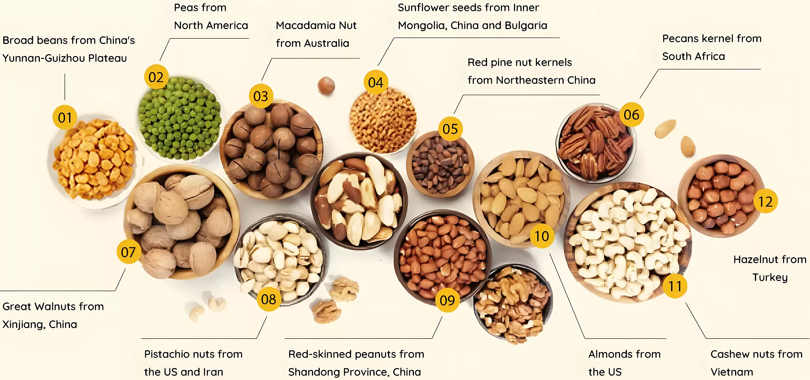 Premium Ingredients Sourced Globally